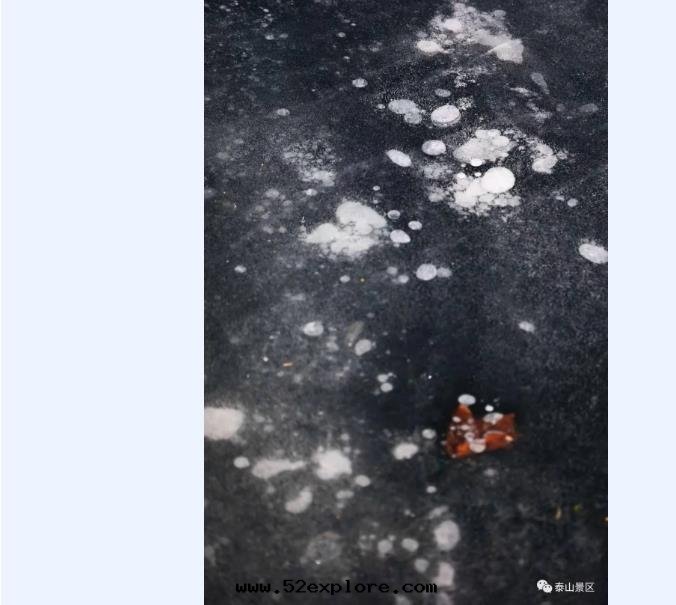 qq浏覽器截图(tú)20220222084532